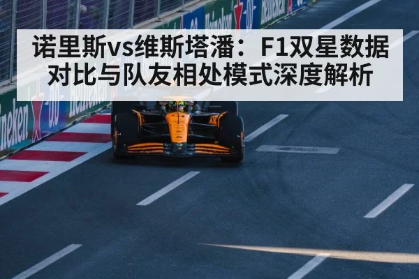 Norris Verstappen F1 battle